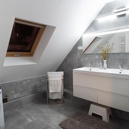 Superbe Appartement Au Coeur Du Кольмар Екстер'єр фото