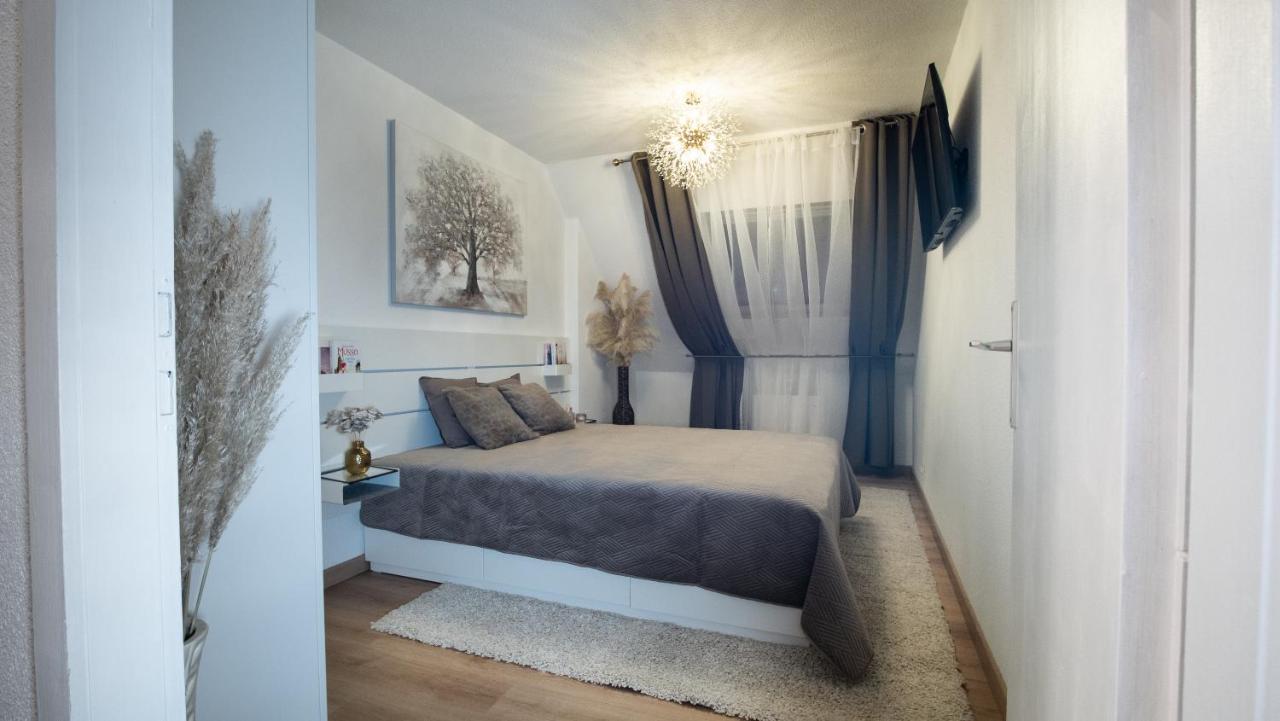 Superbe Appartement Au Coeur Du Кольмар Екстер'єр фото